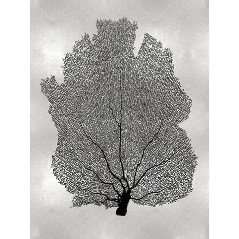 Sea Fan Black on Silver I White Modern Wood Framed Art Print by Miller, Melonie