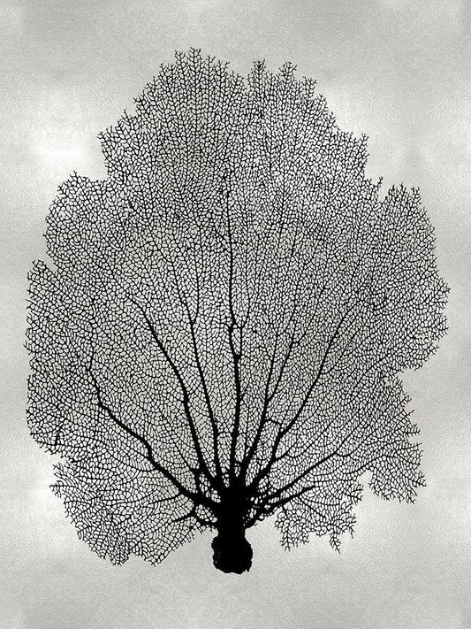 Image Only