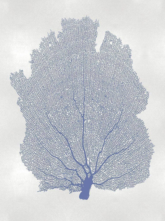 Image Only
