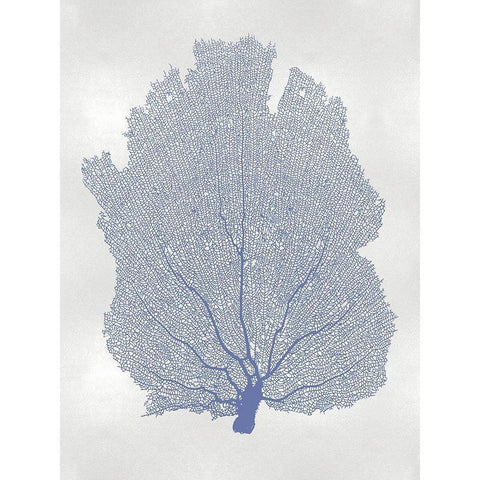 Sea Fan Blue I White Modern Wood Framed Art Print by Miller, Melonie