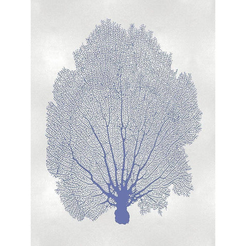 Sea Fan Blue II White Modern Wood Framed Art Print by Miller, Melonie