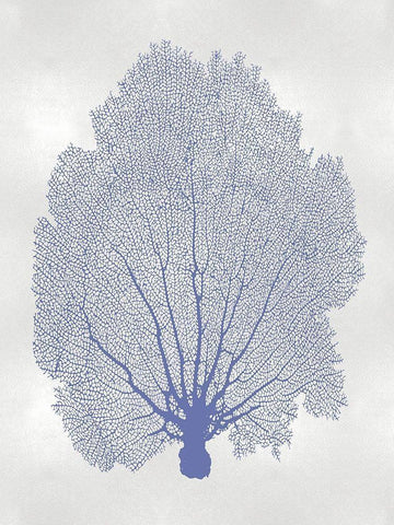 Sea Fan Blue II White Modern Wood Framed Art Print with Double Matting by Miller, Melonie