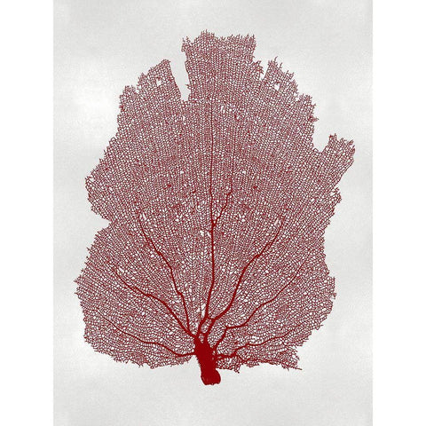 Sea Fan Coral I Black Modern Wood Framed Art Print with Double Matting by Miller, Melonie