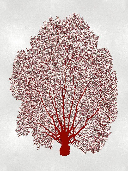 Image Only