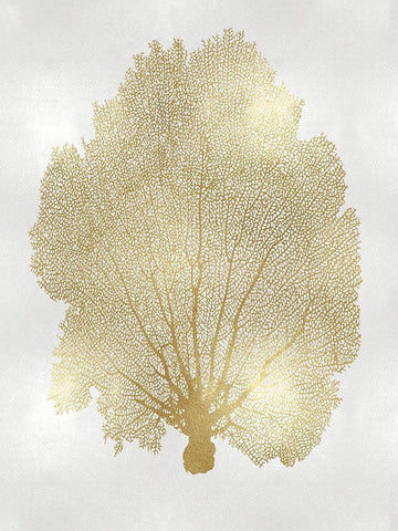 Sea Fan Gold II White Modern Wood Framed Art Print with Double Matting by Miller, Melonie