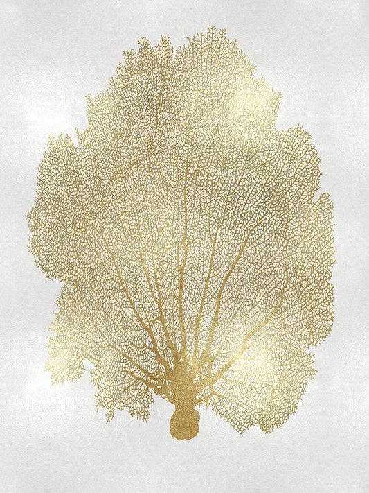 Image Only