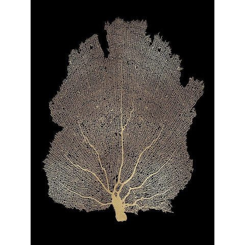 Sea Fan Gold on Black I Black Modern Wood Framed Art Print with Double Matting by Miller, Melonie