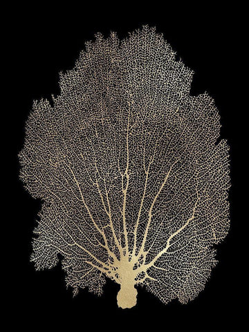 Sea Fan Gold on Black II Black Ornate Wood Framed Art Print with Double Matting by Miller, Melonie