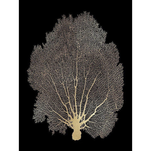 Sea Fan Gold on Black II Black Modern Wood Framed Art Print with Double Matting by Miller, Melonie