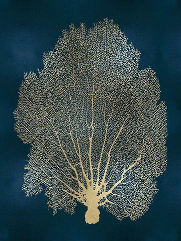 Sea Fan Gold on Teal II White Modern Wood Framed Art Print with Double Matting by Miller, Melonie