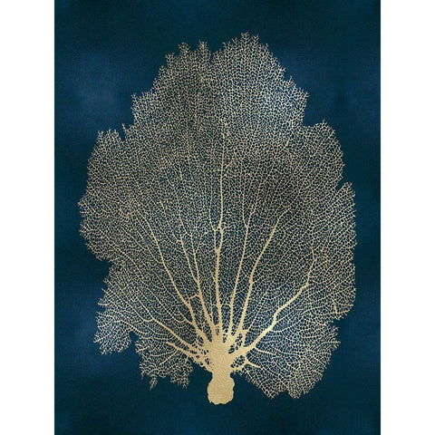 Sea Fan Gold on Teal II White Modern Wood Framed Art Print by Miller, Melonie