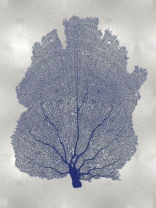 Image Only
