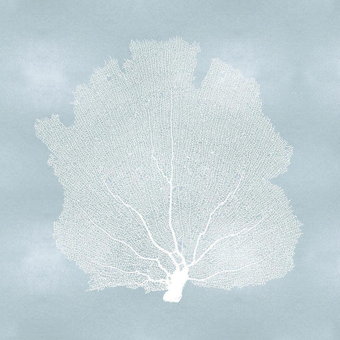 Sea Fan on Aqua I White Modern Wood Framed Art Print by Miller, Melonie