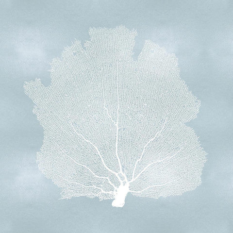 Sea Fan on Aqua I White Modern Wood Framed Art Print with Double Matting by Miller, Melonie