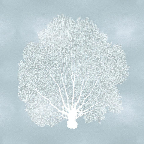 Sea Fan on Aqua II White Modern Wood Framed Art Print with Double Matting by Miller, Melonie