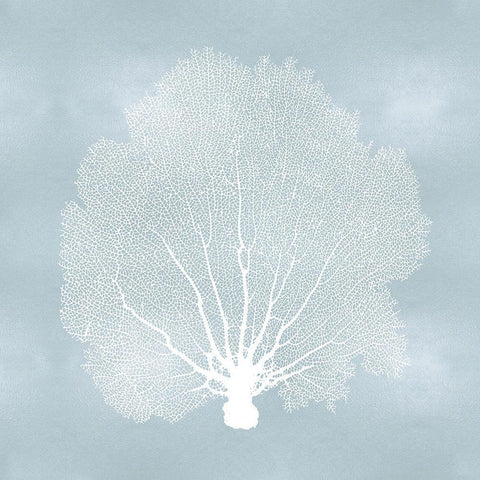 Sea Fan on Aqua II White Modern Wood Framed Art Print by Miller, Melonie