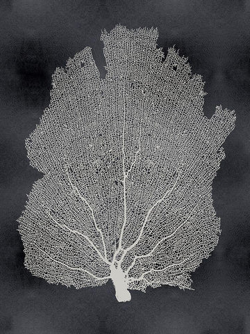 Sea Fan on Black I Black Ornate Wood Framed Art Print with Double Matting by Miller, Melonie