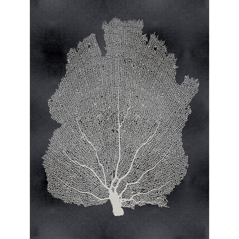 Sea Fan on Black I Black Modern Wood Framed Art Print by Miller, Melonie