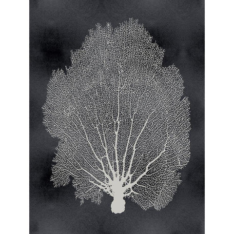 Sea Fan on Black II Gold Ornate Wood Framed Art Print with Double Matting by Miller, Melonie