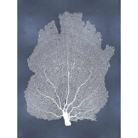Sea Fan on Blue I White Modern Wood Framed Art Print by Miller, Melonie