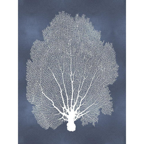 Sea Fan on Blue II Black Modern Wood Framed Art Print by Miller, Melonie