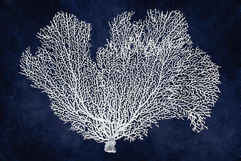 Sea Fan on Indigo Blue I White Modern Wood Framed Art Print with Double Matting by Miller, Melonie