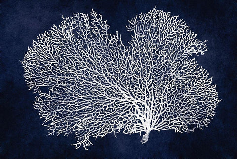 Sea Fan on Indigo Blue II Black Ornate Wood Framed Art Print with Double Matting by Miller, Melonie