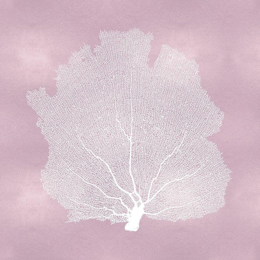 Image Only