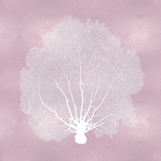 Image Only