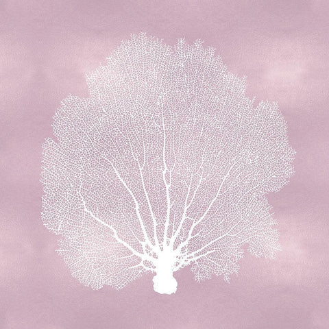 Sea Fan on Pink Blush II Black Modern Wood Framed Art Print with Double Matting by Miller, Melonie