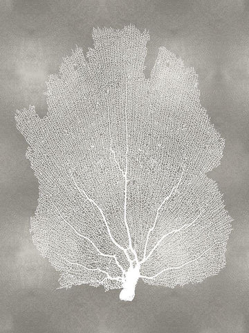 Sea Fan on Silver I Black Ornate Wood Framed Art Print with Double Matting by Miller, Melonie