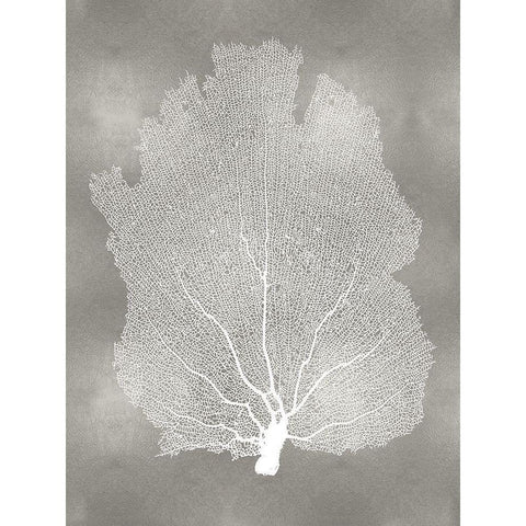 Sea Fan on Silver I White Modern Wood Framed Art Print by Miller, Melonie