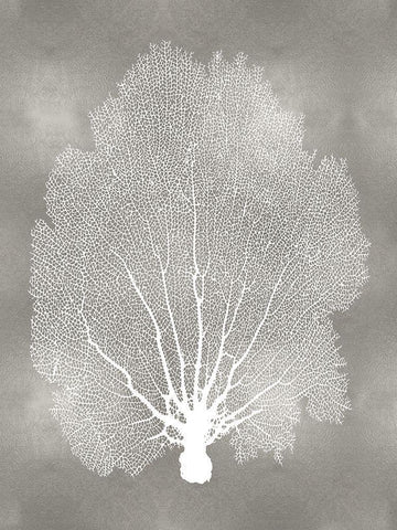 Sea Fan on Silver II Black Ornate Wood Framed Art Print with Double Matting by Miller, Melonie