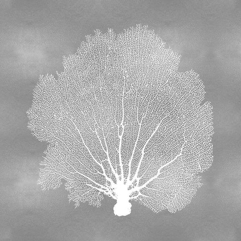 Sea Fan on Silver IV White Modern Wood Framed Art Print by Miller, Melonie