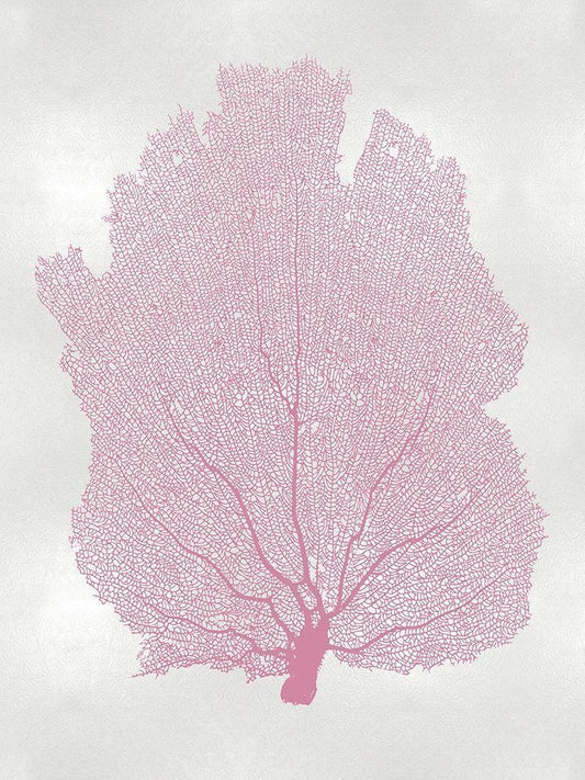 Image Only