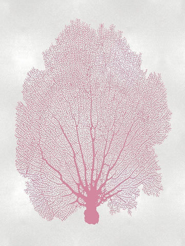 Sea Fan Pink Blush II White Modern Wood Framed Art Print with Double Matting by Miller, Melonie