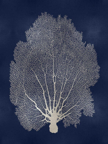 Sea Fan Silver on Blue II White Modern Wood Framed Art Print with Double Matting by Miller, Melonie