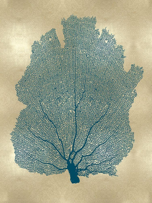 Image Only
