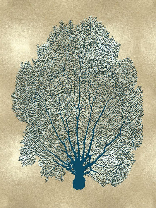 Image Only