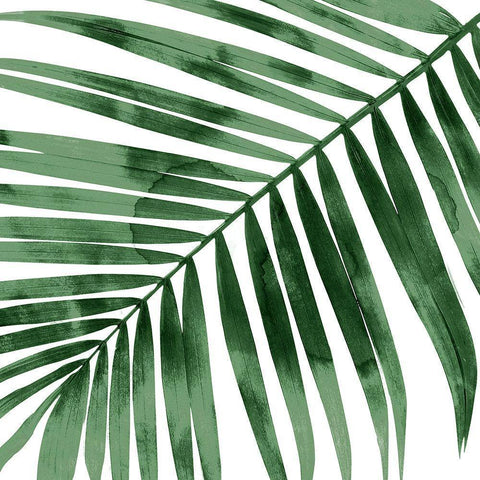 Tropical Green Palm I White Modern Wood Framed Art Print by Miller, Melonie