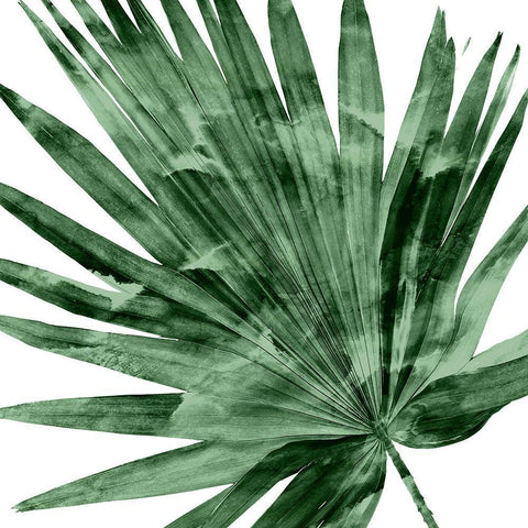 Tropical Green Palm IV White Modern Wood Framed Art Print with Double Matting by Miller, Melonie