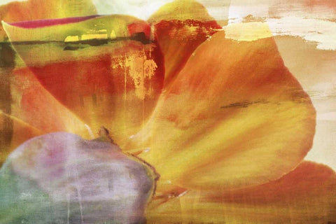 Floral Collaboration III White Modern Wood Framed Art Print with Double Matting by Oppenheimer, Michelle