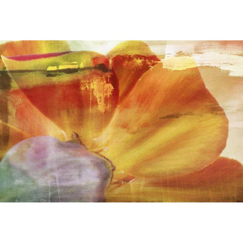 Floral Collaboration III White Modern Wood Framed Art Print by Oppenheimer, Michelle