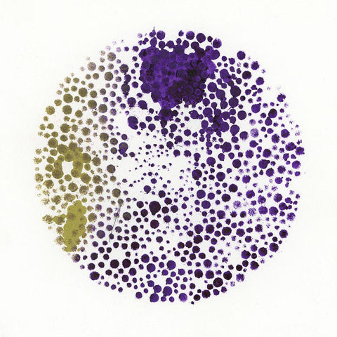 Hide And Seek II Black Modern Wood Framed Art Print by Oppenheimer, Michelle