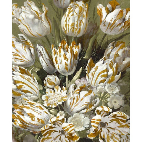 Golden Tulip Bouquet White Modern Wood Framed Art Print by McQueen, Angela