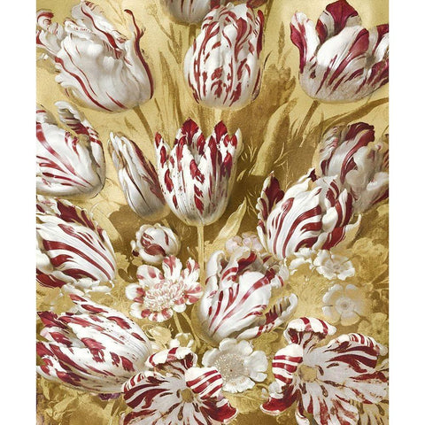 Tulip Bouquet in Red White Modern Wood Framed Art Print by McQueen, Angela