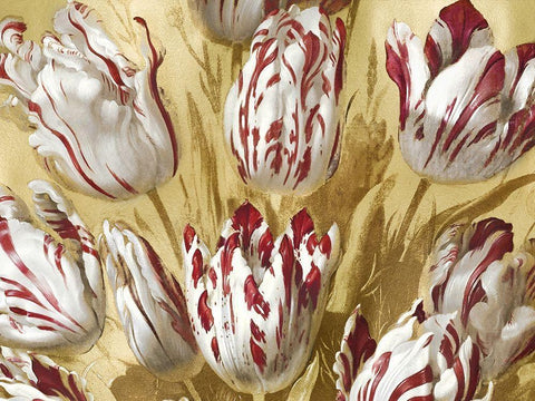 Tulips on Gold II White Modern Wood Framed Art Print with Double Matting by McQueen, Angela