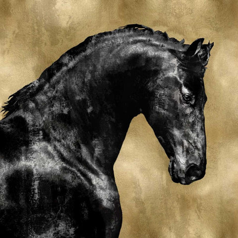 Black Stallion on Gold Gold Ornate Wood Framed Art Print with Double Matting by Rose, Martin