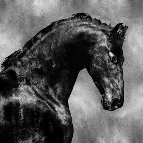 Black Stallion on Silver Black Modern Wood Framed Art Print with Double Matting by Rose, Martin