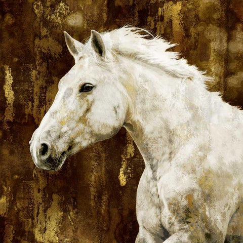 White Stallion White Modern Wood Framed Art Print with Double Matting by Rose, Martin